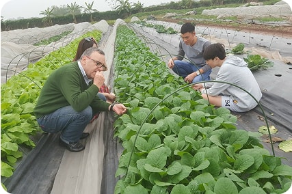 GENKI FARMで農業体験
無農薬有機野菜の販売01