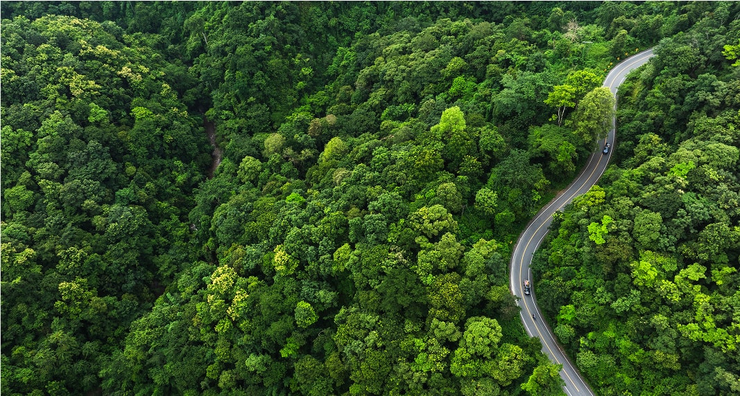 ESG Initiatives: Environment