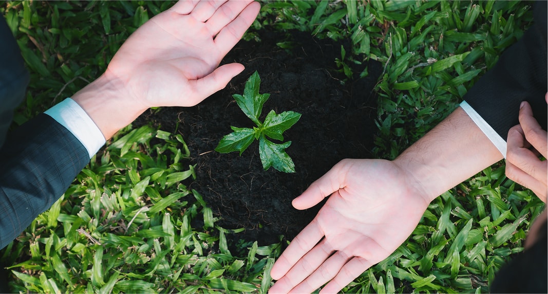 ESG Initiatives: Governance